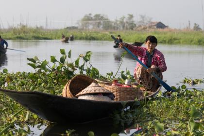 Sur le lac Inle - Birmanie