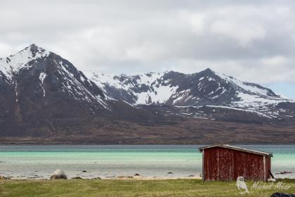 Sur la route de Vesteralen