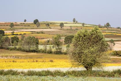 La campagne dans les environs de Pindaya.