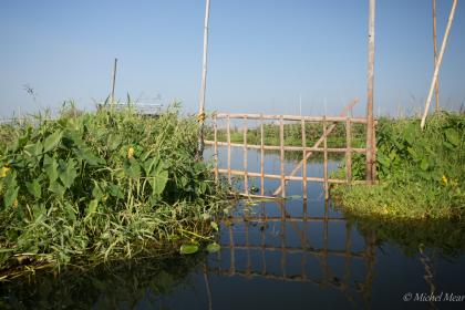 Entrée du jardin