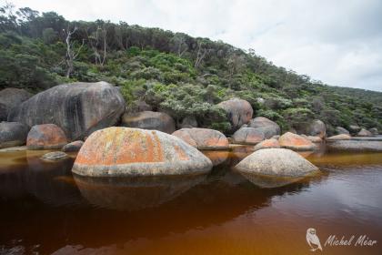 Tidal River, Wilsons Promontary NP
