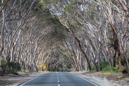 Kangaroo Island