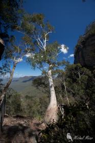 Blue Mountains NP