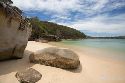 Manly to Spit Bridge trail, Sydney