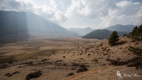 Vallée de Phobjika. Vallée connue pour ses grues à cou noir. Elles viennent de repartir pour le Tibet.