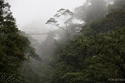 Pluie, sur le Hanging bridge.