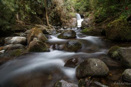Rio Savegre