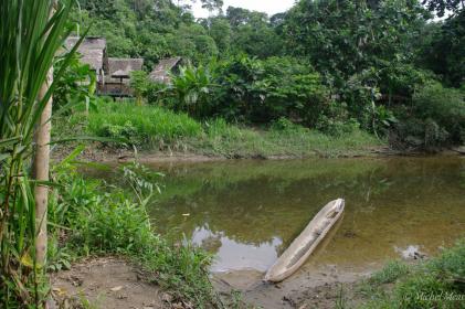 Rio Napo, Amazonie